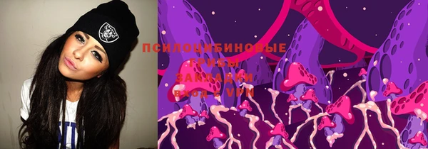 прущая мука Вяземский