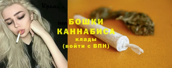 гидра Вязники