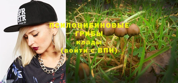 гидра Вязники