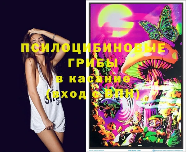 гидра Вязники