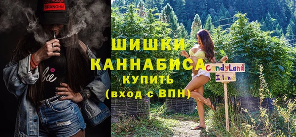 прущая мука Вяземский