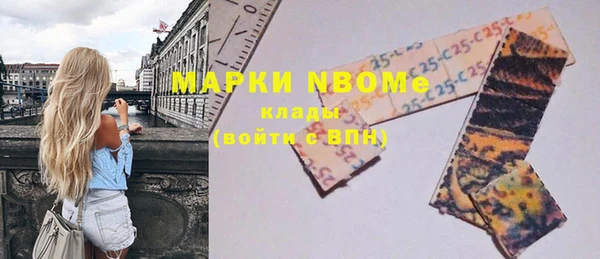 прущая мука Вяземский