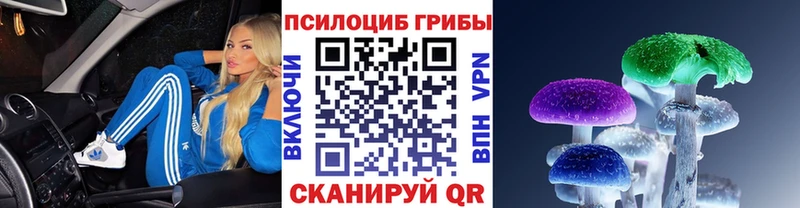 Галлюциногенные грибы Magic Shrooms  Купить закладки  Майкоп 